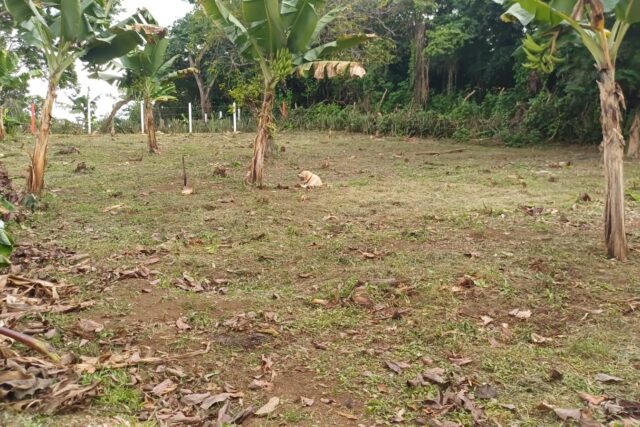 🌿 ¡Tu próximo gran proyecto inicia aquí! Terreno en venta 🌿